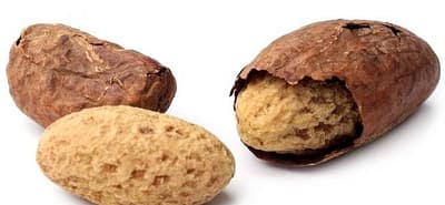 Health Benefits of Kola Nuts - The Real Cola!