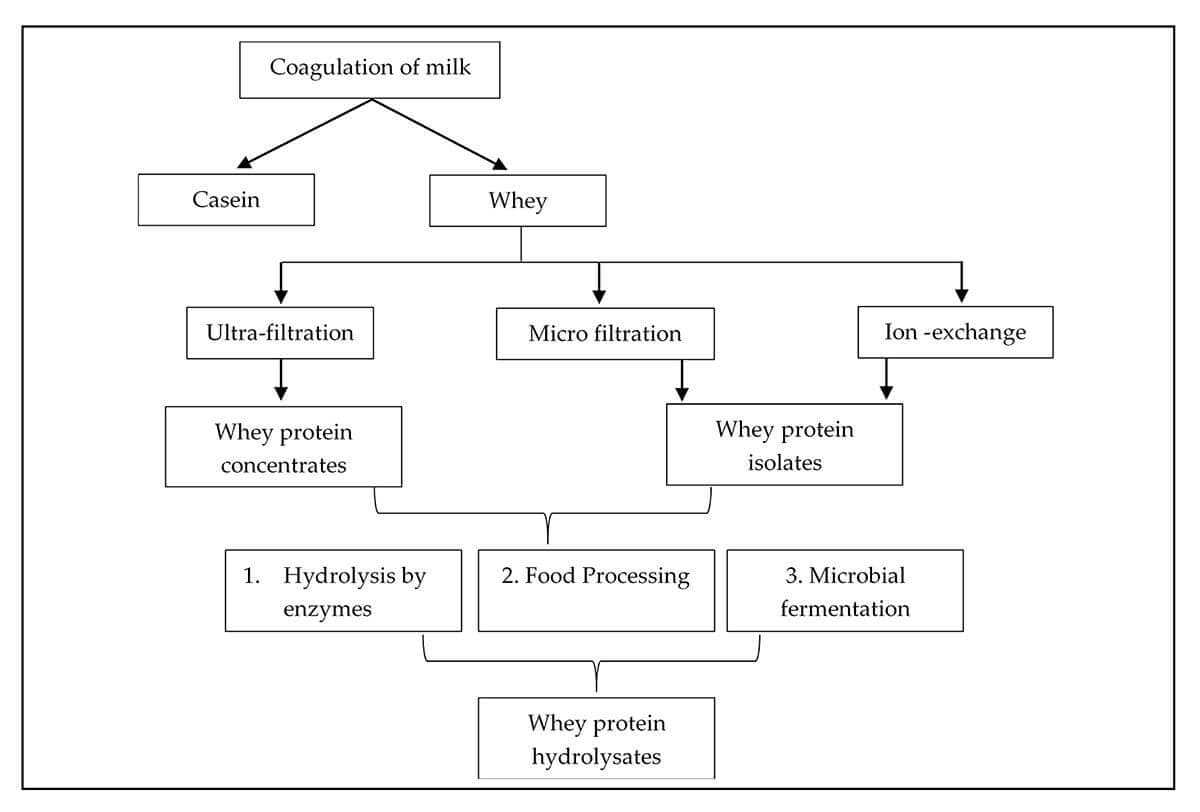 Production of Whey Derivatives